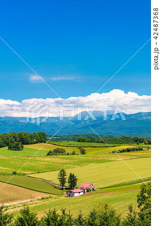 北海道 美瑛の丘 赤い屋根の家と田園風景の写真素材