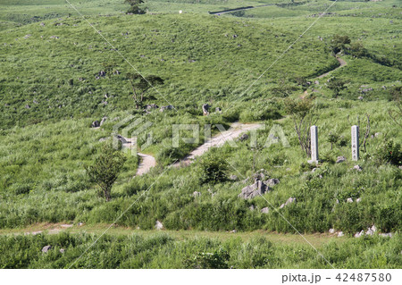 秋吉台イメージ 秋吉台イメージ 42487580