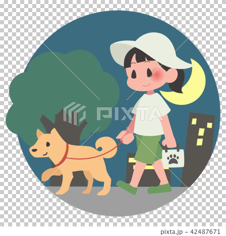 Pet dog walking woman night 42487671