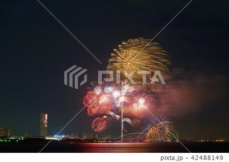 千葉県 幕張ビーチ花火ビフェスタ 茜浜緑地 千葉県 幕張ビーチ花火ビフェスタ 茜浜緑地 42488149