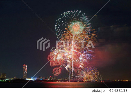千葉県　幕張ビーチ花火ビフェスタ　茜浜緑地 42488153