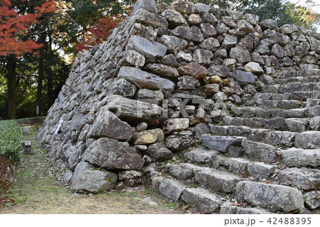 浜松市二俣城址 浜松市二俣城址 42488395
