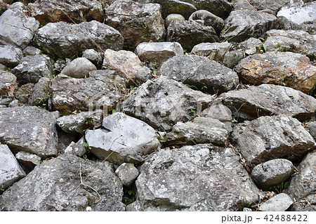 浜松市二俣城址　 42488422