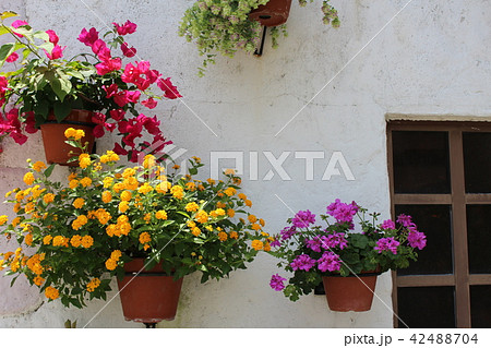 志摩スペイン村の街並み 42488704