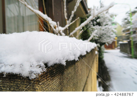 埼玉県川口市の雪景色 42488767