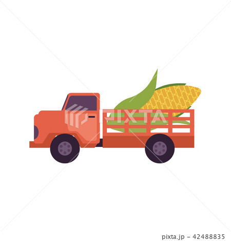 Flat farmer truck pickup delivering harvest food 42488835