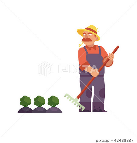 Farmer in straw hat with rake cares for cabbage or broccoli. Farmer in straw hat with rake cares for cabbage or broccoli. 42488837