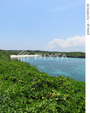 空と海 42489338