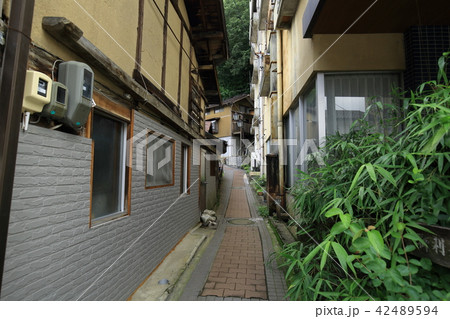 渋温泉街 渋温泉街 42489594