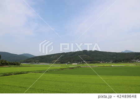 筑波山と田園 42489648
