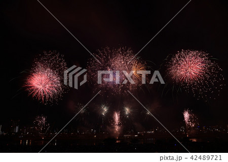 花火 東京 足立 花火 東京 足立 42489721