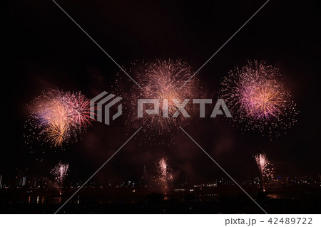 花火 東京 足立 花火 東京 足立 42489722