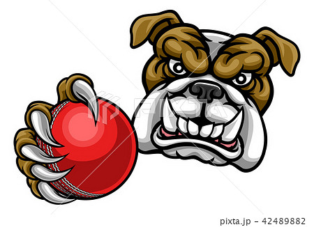 Bulldog Dog Holding Cricket Ball Sports Mascotのイラスト素材 4248