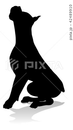 Dog Silhouette Pet Animal 42489910