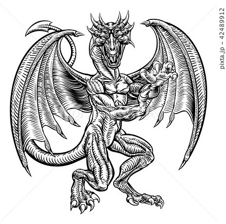 Dragon Drawing in Vintage Woodcut Style Dragon Drawing in Vintage Woodcut Style 42489912