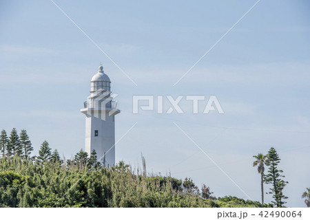 千葉県南房総市白浜町野島崎灯台 千葉県南房総市白浜町野島崎灯台 42490064