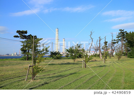 養老川臨海公園(市原市) 42490859