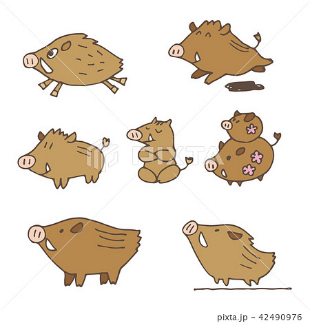手書き 猪のイラスト 年賀状素材 干支動物のイラスト素材 42490976