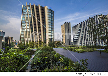 愛知県　名古屋都市風景　ささしまライブ 42491195