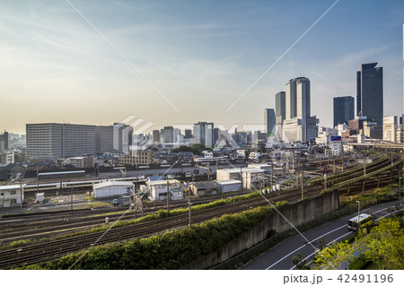 愛知県　名古屋都市風景　ささしまライブ 42491196