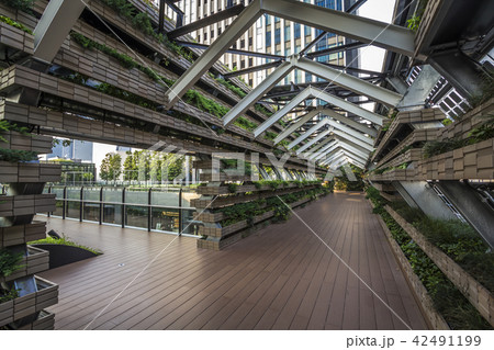 愛知県 名古屋都市風景 ささしまライブ 愛知県 名古屋都市風景 ささしまライブ 42491199