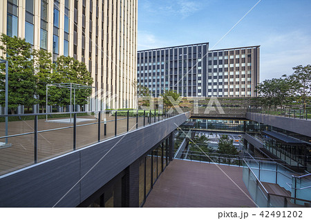 愛知県　名古屋都市風景　ささしまライブ 42491202