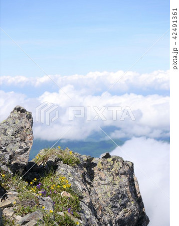 南アルプス 仙丈ヶ岳登山 南アルプス 仙丈ヶ岳登山 42491361