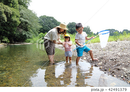 川で魚捕りをする親子の写真素材