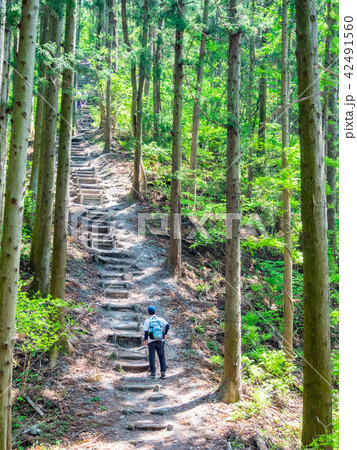 長瀞アルプスの新緑の山道を歩くハイカーの風景 42491560