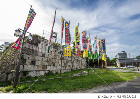 大相撲名古屋場所　のぼり 42491613