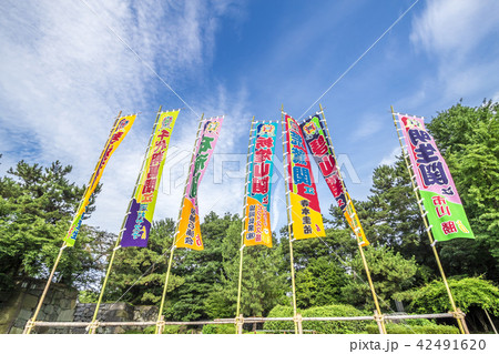 大相撲名古屋場所　のぼり 42491620