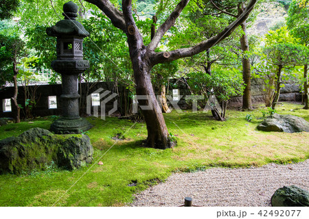 鎌倉 報国寺 枯山水庭園 鎌倉 報国寺 枯山水庭園 42492077