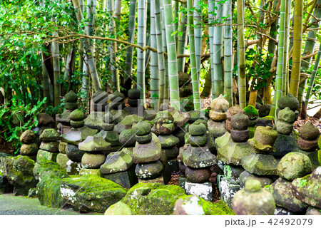 鎌倉 報国寺 五輪塔群と竹林 42492079