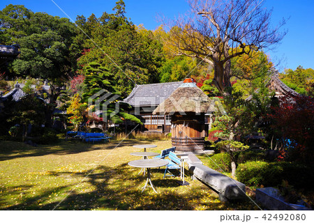 身延 本国寺 身延 本国寺 42492080