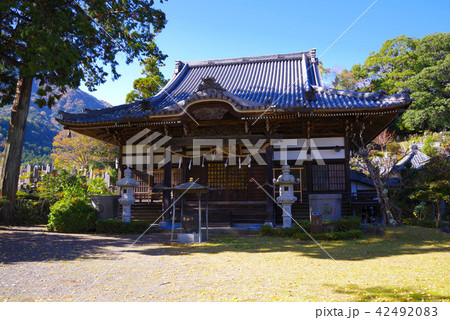 身延 本国寺 身延 本国寺 42492083