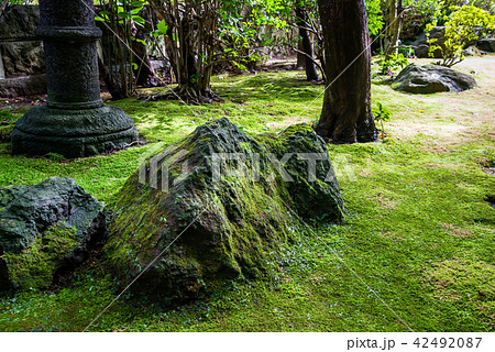 鎌倉 報国寺 枯山水庭園 42492087