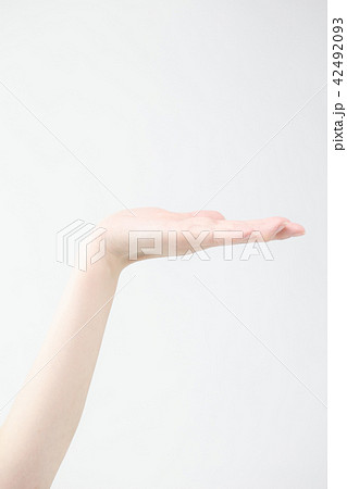 手　ジェスチャー  42492093