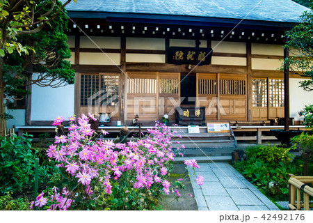 鎌倉 成就院 本堂 42492176