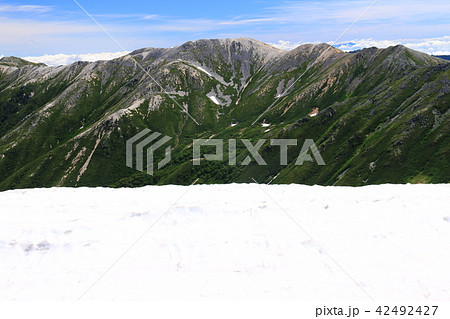 北アルプス水晶岳山頂への道　裏銀座コース野口五郎岳 42492427