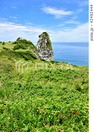 猿岩　日本の奇岩百景　長崎県壱岐市　壱岐市勝本町　遠望は対馬　 42492444