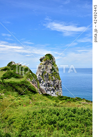 猿岩　日本の奇岩百景　長崎県壱岐市　壱岐市勝本町　遠望は対馬　 42492445