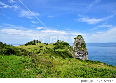 猿岩　日本の奇岩百景　長崎県壱岐市　壱岐市勝本町　遠望は対馬　 42492447