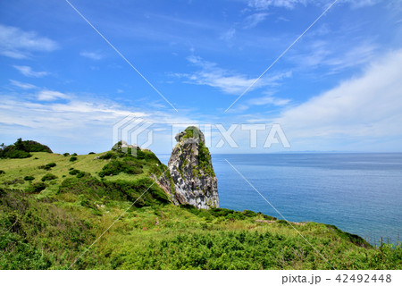猿岩　日本の奇岩百景　長崎県壱岐市　壱岐市勝本町　遠望は対馬　 42492448