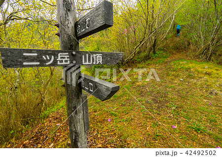 二ッ岳（1647m）　登山口（愛媛県四国中央市、新居浜市）※作品コメント欄に撮影位置あり 42492502