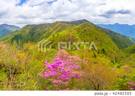 二ッ岳、登山道からハネズル山方面を見る！（愛媛県四国中央市、新居浜市）※作品コメント欄に撮影位置あり 42492505