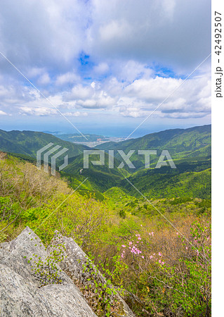 二ッ岳登山道から中央市土居町方面を見る!(愛媛県四国中央市、新居浜市)※作品コメント欄に撮影位置あり 二ッ岳登山道から中央市土居町方面を見る!(愛媛県四国中央市、新居浜市)※作品コメント欄に撮影位置あり 42492507