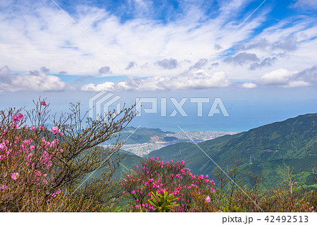 二ッ岳登山道から中央市土居町方面を見る!(愛媛県四国中央市、新居浜市)※作品コメント欄に撮影位置あり 二ッ岳登山道から中央市土居町方面を見る!(愛媛県四国中央市、新居浜市)※作品コメント欄に撮影位置あり 42492513