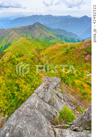 二ッ岳、登山道からハネズル山方面を見る！（愛媛県四国中央市、新居浜市）※作品コメント欄に撮影位置あり 42492522