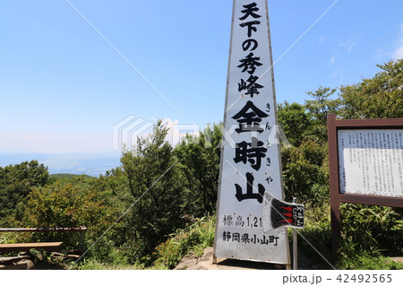 金時山の山頂から富士山を眺める 42492565
