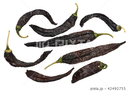 Pasilla chilaca dried peppers, top, paths Pasilla chilaca dried peppers, top, paths 42492755